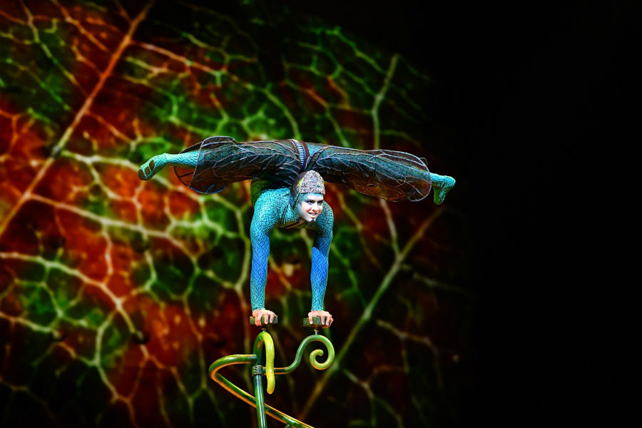 Cirque du Soleil em turnê pelo Brasil. Aos detalhes, vem!