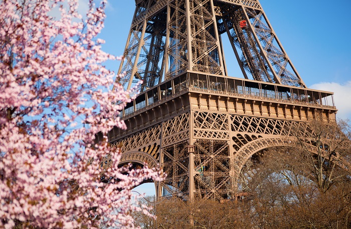 The Peninsula Paris celebra a primavera japonesa e suas flores de cerejeira 