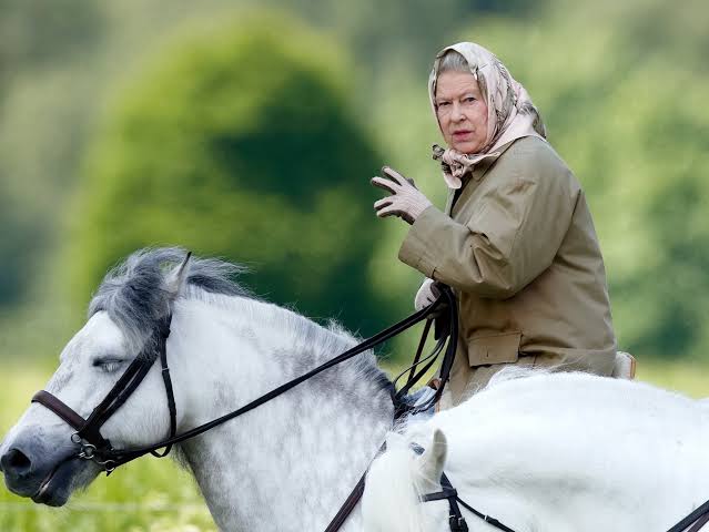 Mesmo após proibição médica, rainha Elizabeth volta a cavalgar