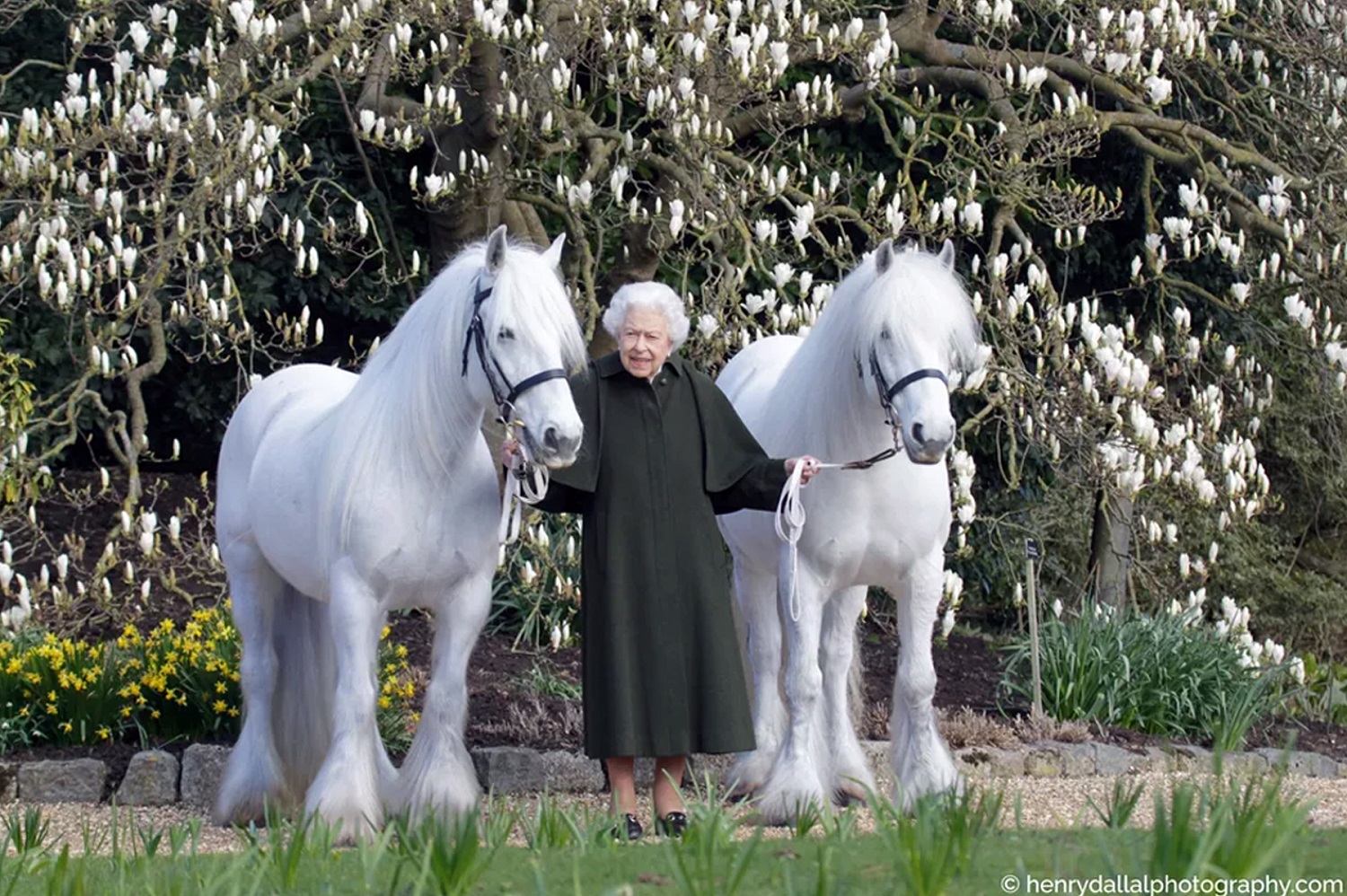 Foto com pôneis marca aniversário de Elizabeth II. Saiba quantos anos ela faz