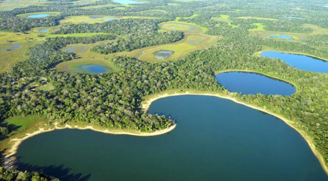 Havaianas faz doação em prol do Pantanal