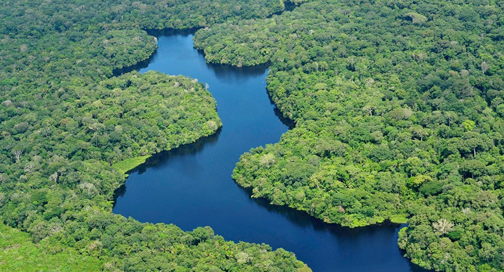 Amazônia tem maior derrubada de árvores desde 2016