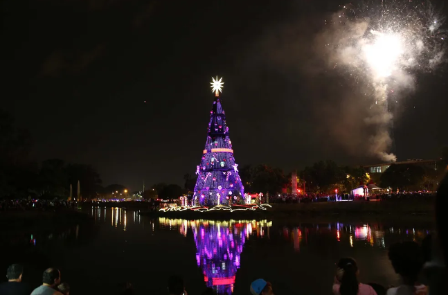 Tradicional árvore de Natal de São Paulo será instalada em novo local; vem  saber