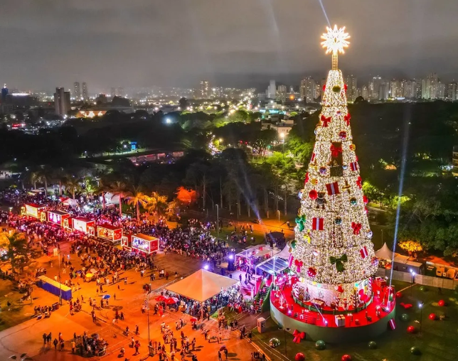 Tradicional árvore de Natal de São Paulo é instalada no Parque Villa-Lobos