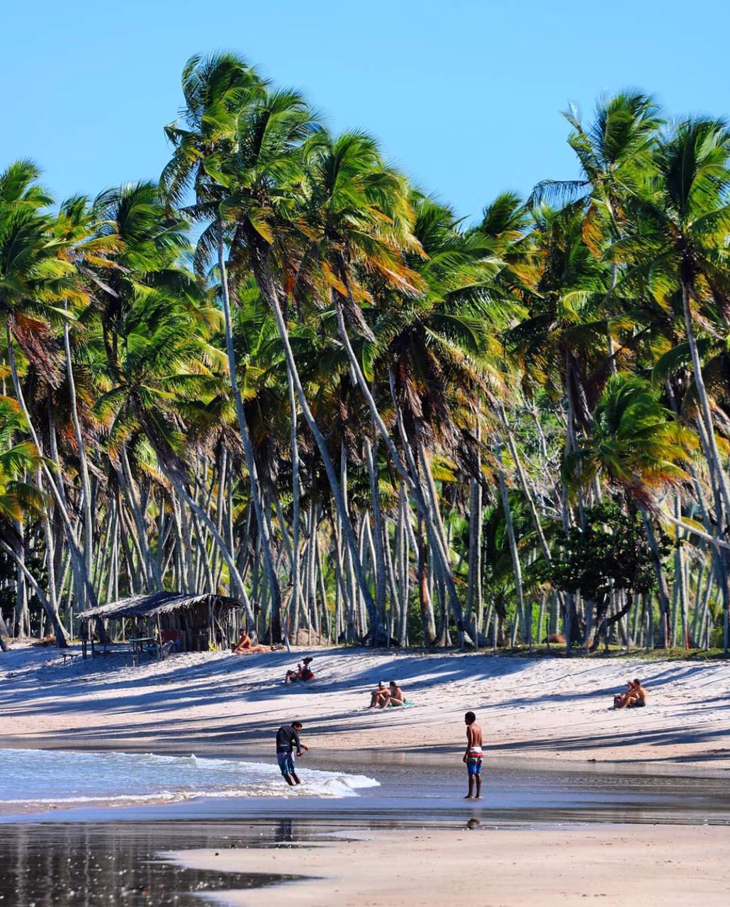 Turismo: Alô Alô Bahia inicia série que desbrava os encantos da Bahia