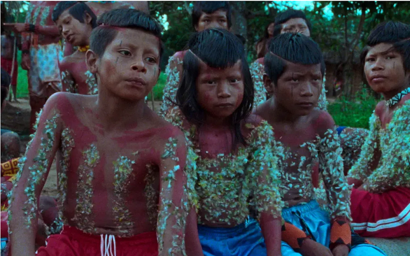 Documentário luso-brasileiro 'A Flor do Buriti' é premiado no Festival de Cannes