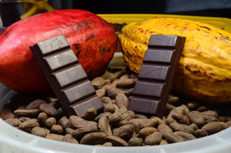 Marcas baianas garantem cinco medalhas no Prêmio Internacional de Chocolate