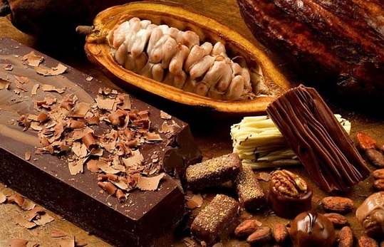 Chocolate da Bahia é destaque na Europa; saiba mais