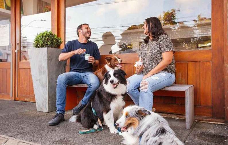 Crema Gelato Italiano lança novidade especial para os pets