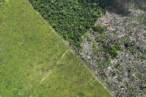 Desmatamento na Amazônia triplica em março, aponta estudo