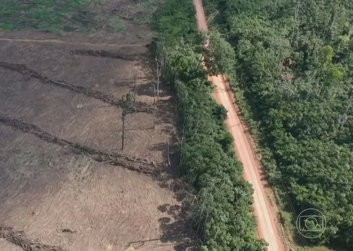 Amazônia Legal tem o maior desmatamento em 15 anos, aponta