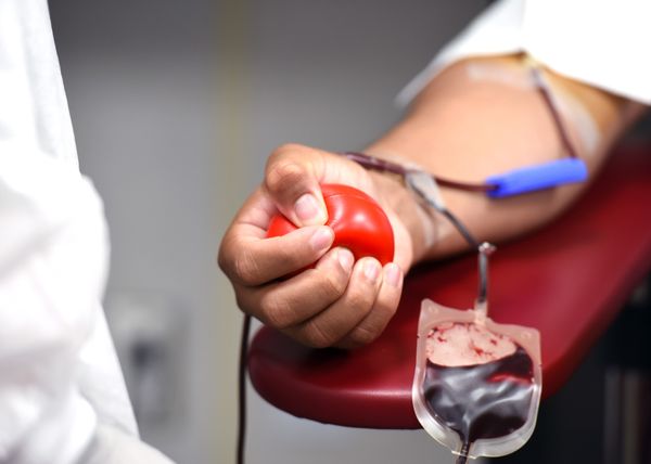  Senado aprova projeto de lei que proíbe a discriminação de doadores de sangue pela orientação sexual