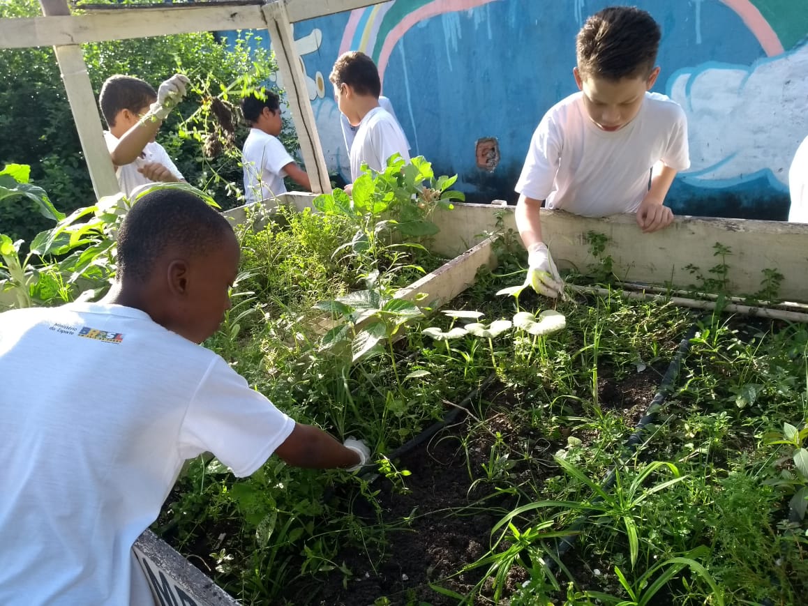 Duas escolas da Bahia estão entre as vencedoras do Prêmio Nestlé por Crianças Mais Saudáveis 2020