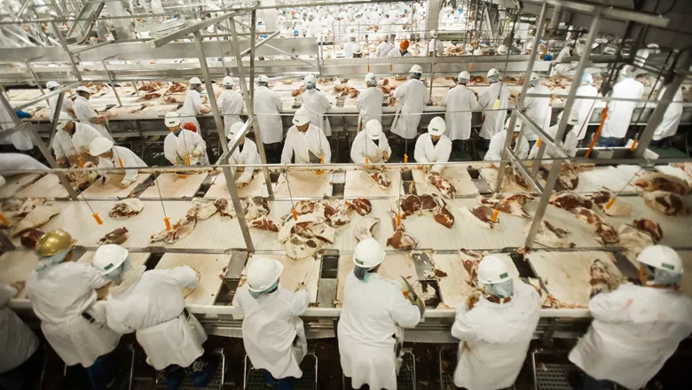 Frigoríficos brasileiros são habilitados para exportar carne à Indonésia, e China derruba vetos 