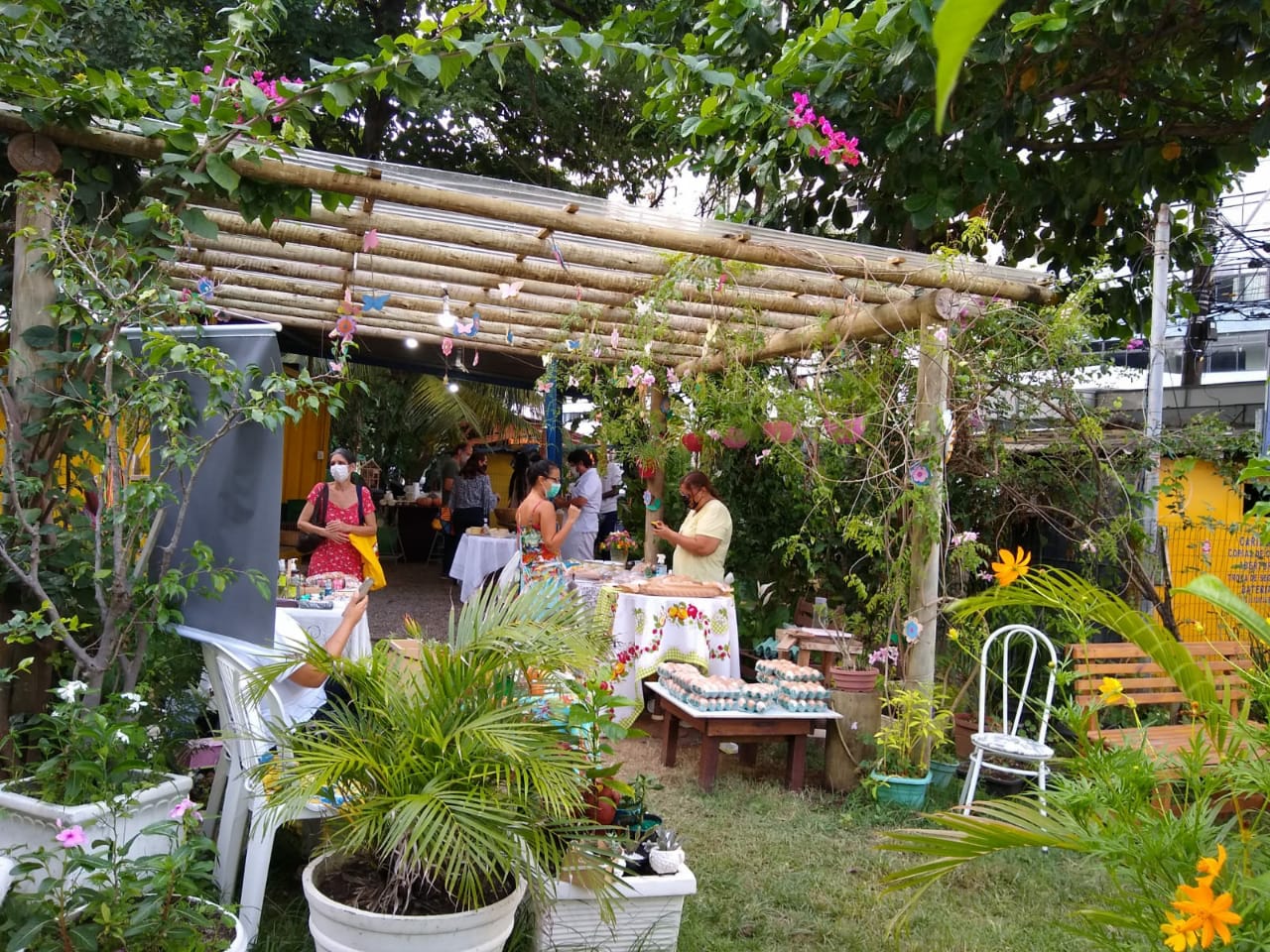  Primeira horta urbana de Salvador completa quatro anos de atividades 