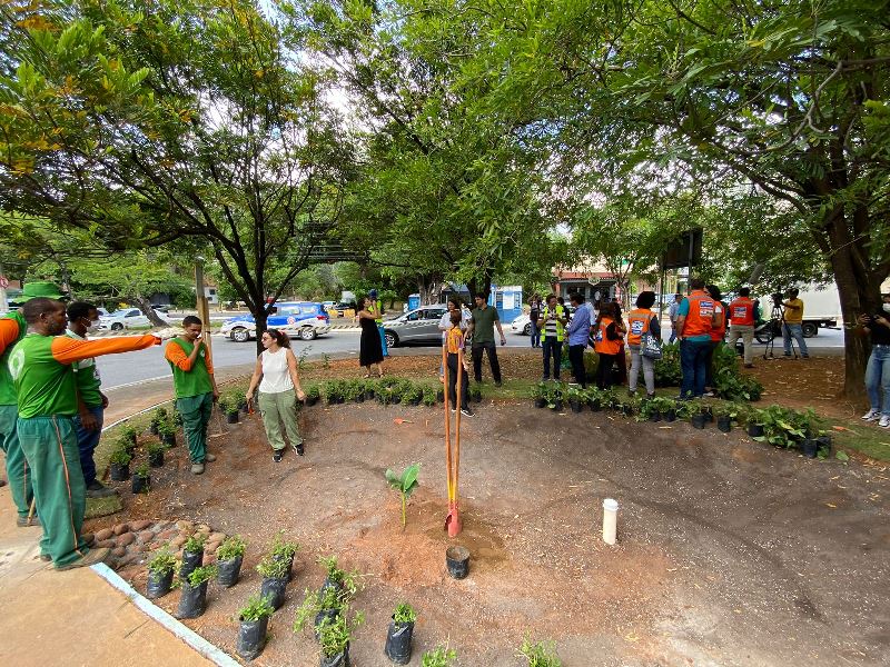 Primeiro jardim de chuva em espaço público é implantado em Salvador