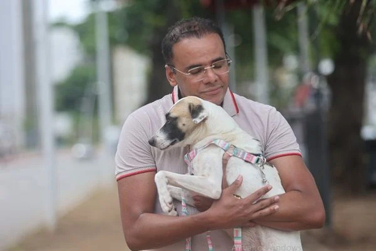 'Perna Bamba': Empresário adota cadela vira-lata resgatada no Carnaval de Salvador