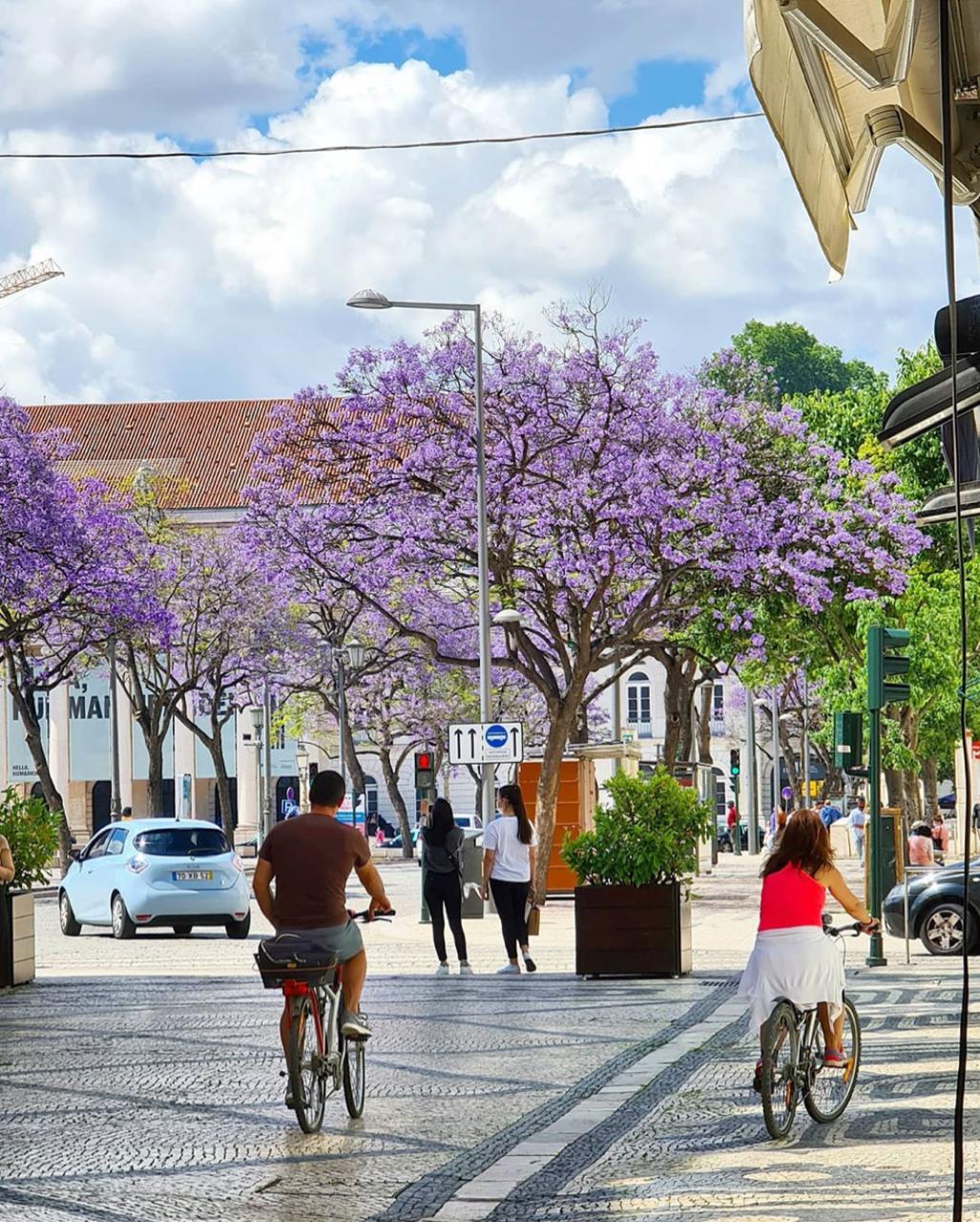 Lisboa constrói ciclovias e dá até 500 euros para compra de bicicletas 