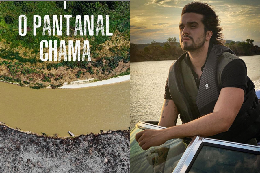 Luan Santana faz live do Pantanal para arrecadar fundos a entidade protetora do bioma