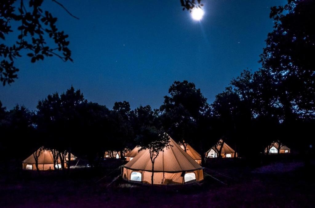 Conheça os 7 melhores acampamentos luxuosos do mundo, segundo a Exame