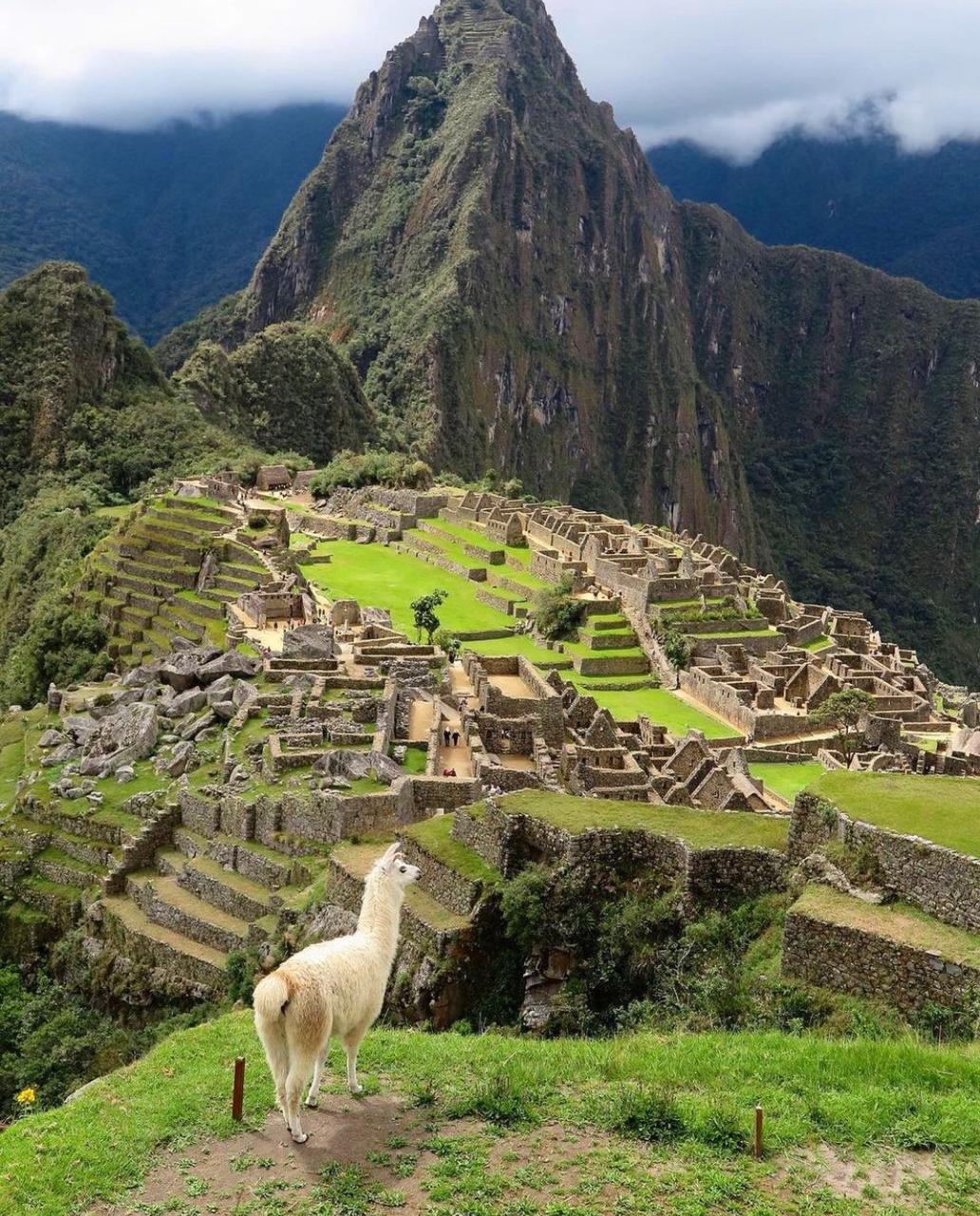 Após 8 meses fechada, Machu Picchu reabre no Peru
