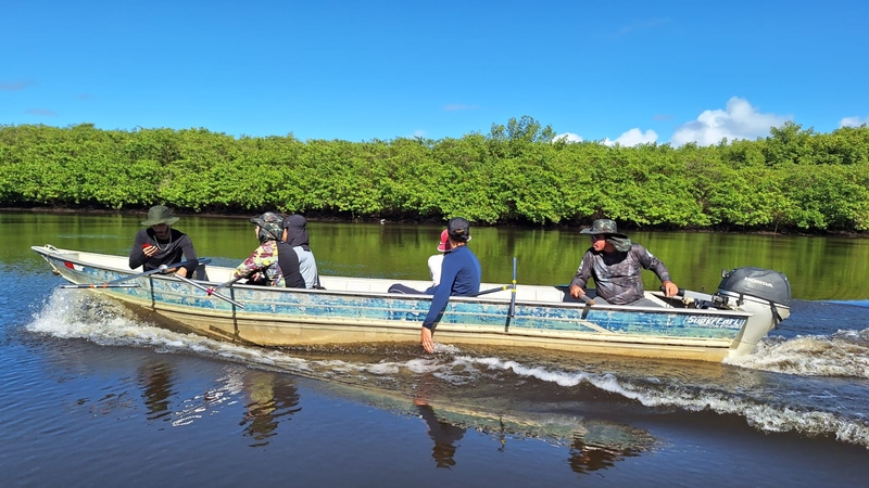 Bahia vai ter quatro áreas de manguezais e restingas recuperadas; veja onde