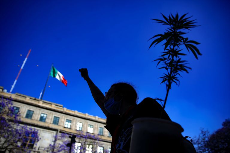 Câmara dos Deputados do México aprova projeto de lei que legaliza a maconha