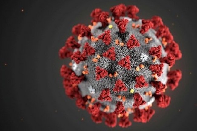 Pesquisadores da UFBA desenvolvem método para identificar o novo coronavírus de forma mais rápida