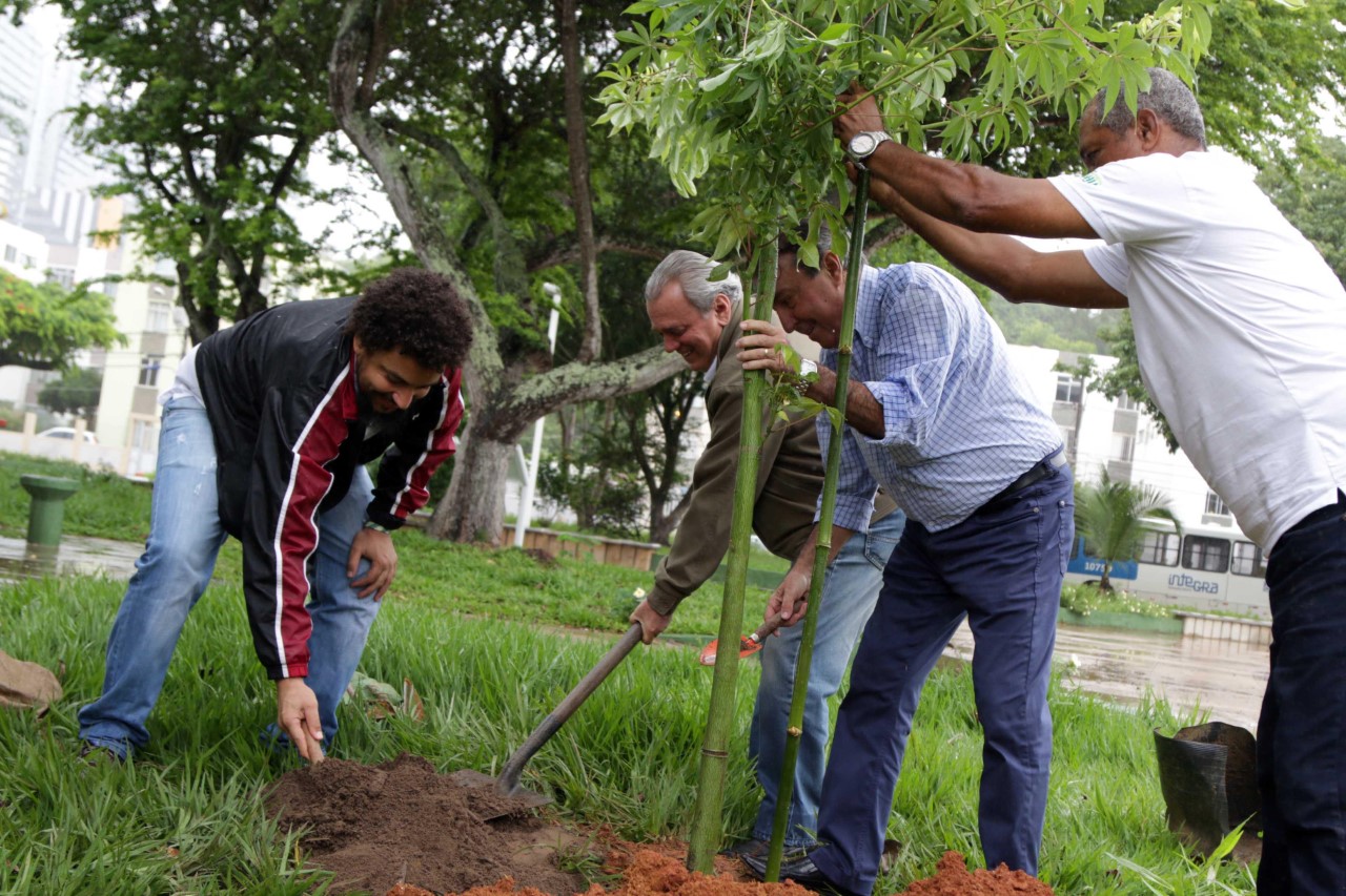 Cerca de 25 mil árvores serão plantadas em Salvador 