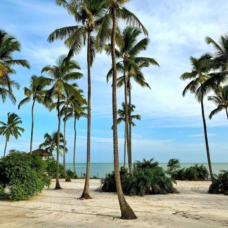 Praia baiana é eleita uma das 10 melhores da América do Sul, aponta TripAdvisor