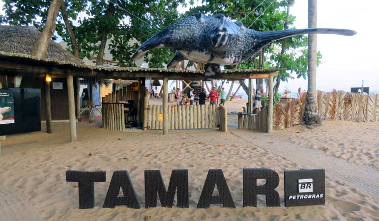 Projeto Tamar vai receber evento especial  