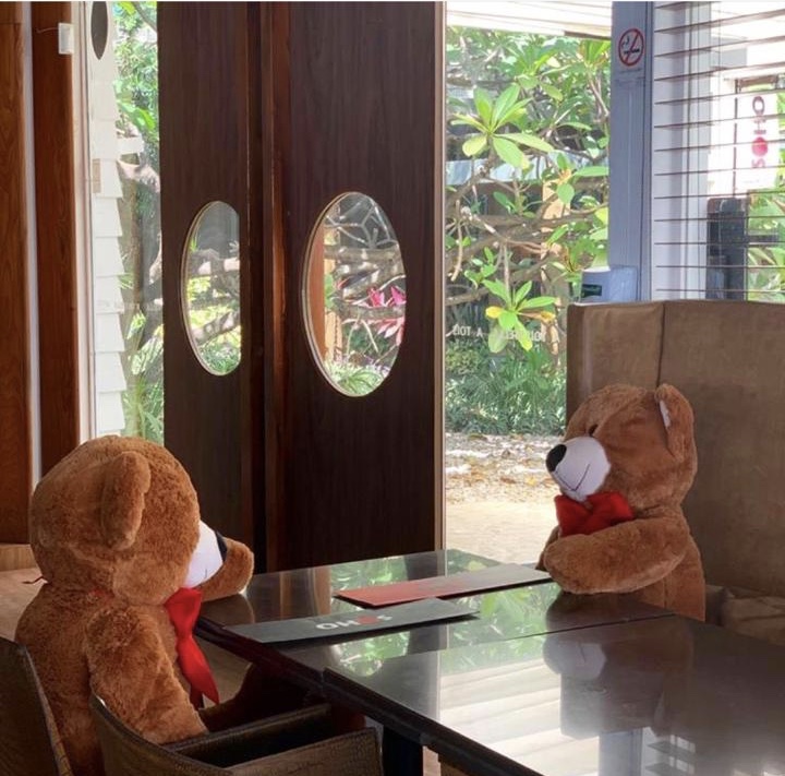 Ursos de pelúcia manterão distanciamento entre clientes no restaurante Soho. Vem ver!