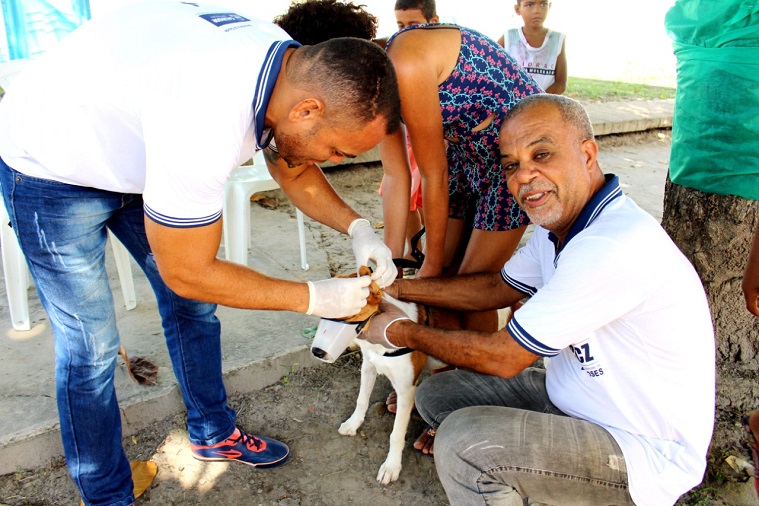 Campanha de vacinação animal terá sistema drive-thru em Salvador