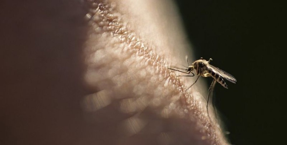 Em decisão histórica, OMS aprova ampla vacinação contra malária