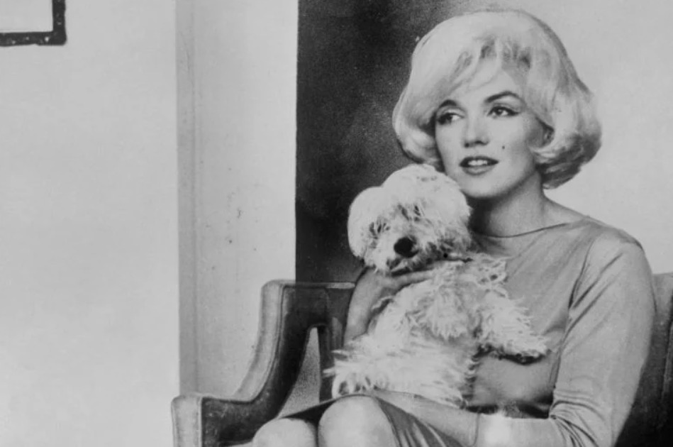 Vestido usado uma única vez por Marilyn Monroe é leiloado por R$ 1,6 milhão