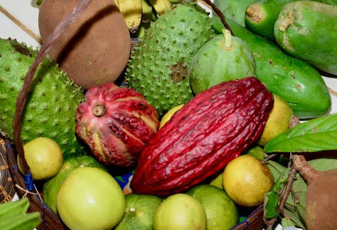 Fruticultura da Bahia é destaque no maior evento do setor da América Latina