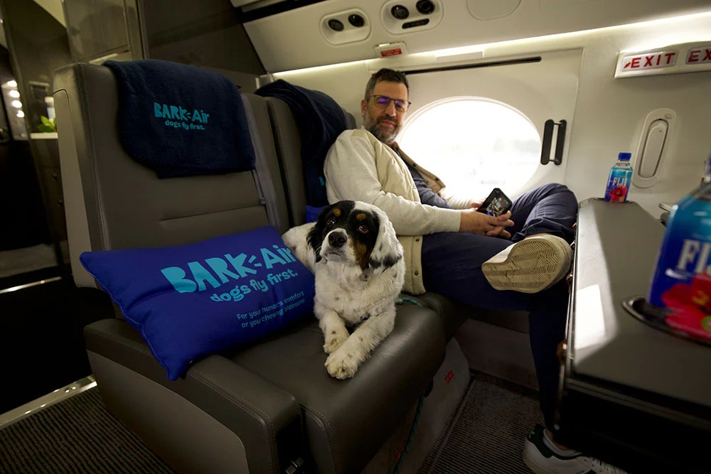 Primeiros voos exclusivos para pets chegam a R$ 40 mil; saiba mais