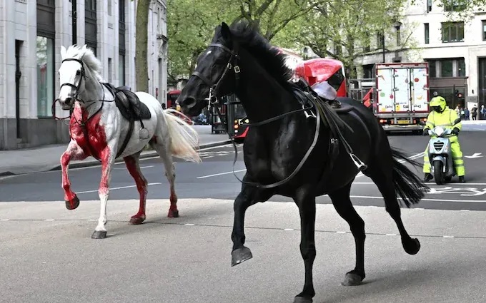 Cavalos do exército britânico fogem e provocam correria no centro de Londres; veja