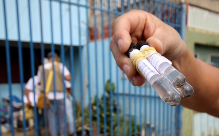 Brasil registrou mais de 3 milhões de casos de dengue em 2024
