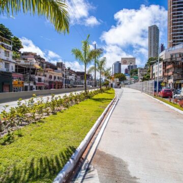 Estações do BRT de Salvador ganham paisagismo em projeto liderado pela Prefeitura
