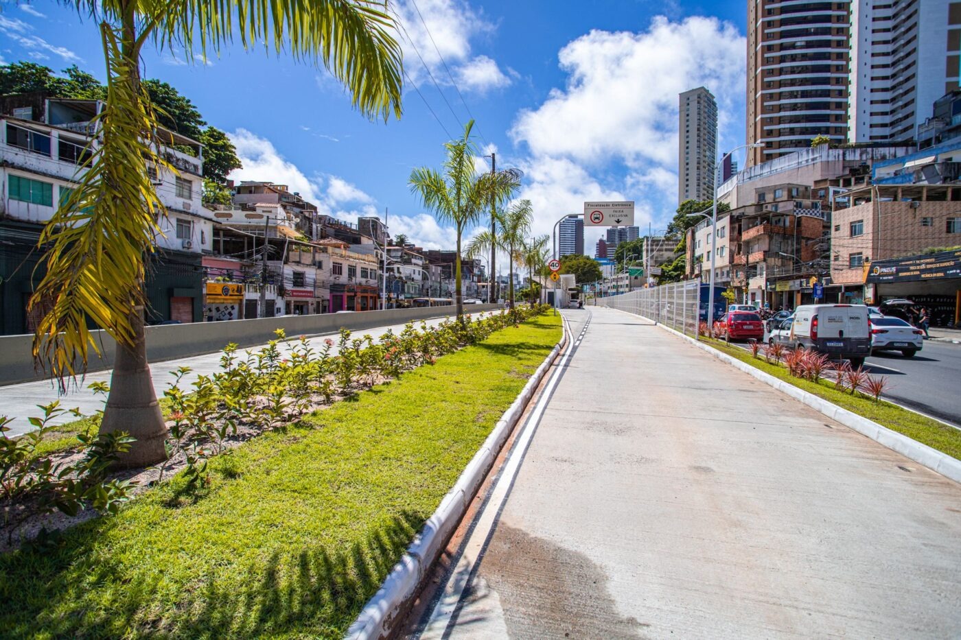 Estações do BRT de Salvador ganham paisagismo em projeto liderado pela Prefeitura