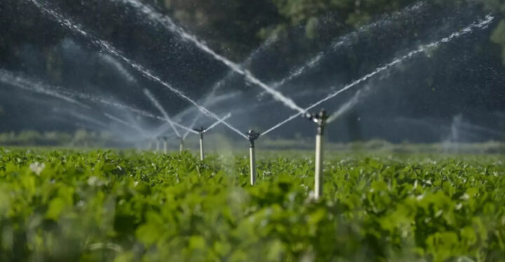 185 mil empregos podem ser gerados na Bahia com novo projeto público de irrigação; entenda