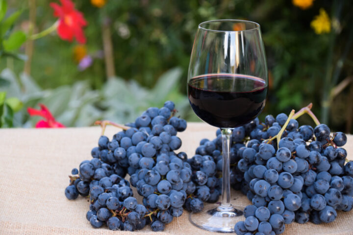 Malbec Day: dicas de harmonização e rótulos para o dia da emblemática uva ‘argentina’