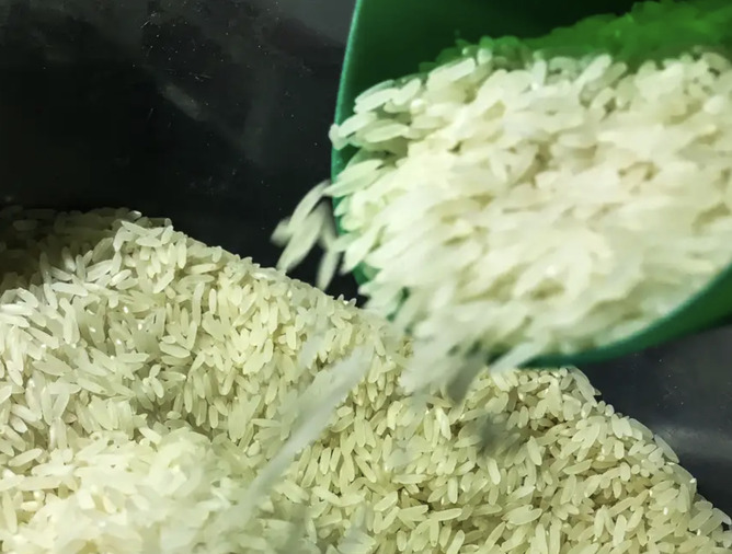 Governo brasileiro autoriza compra de 1 milhão de toneladas de arroz importado