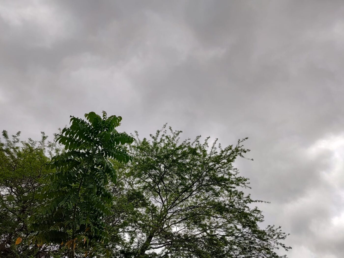 Tempo seco e chuvas fracas: confira a previsão do tempo para Salvador nesta semana