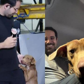 Jornalista adota cachorro que o abraçou durante reportagem no RS