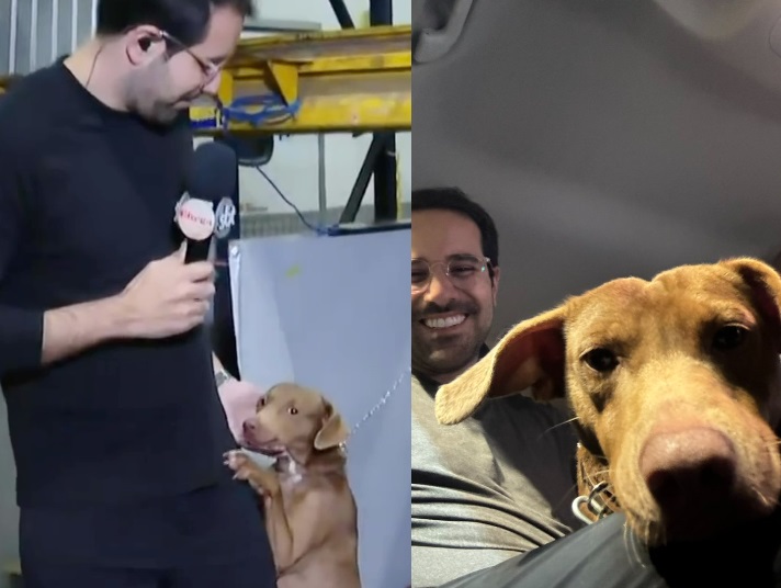 Jornalista adota cachorro que o abraçou durante reportagem no RS