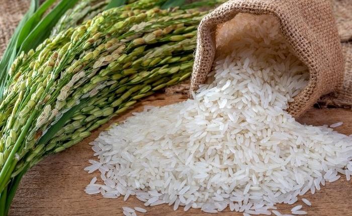 Brasil compra 263,3 mil toneladas de arroz importado em leilão