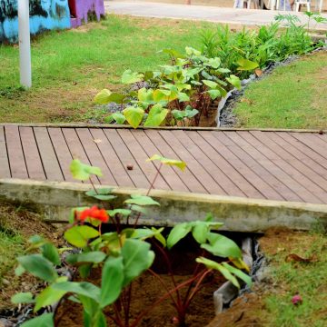 Prefeitura instala biovaleta para drenagem sustentável em Itapuã