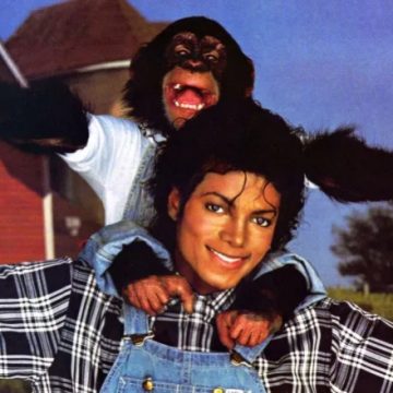 Chimpanzé Bubbles, de Michael Jackson, vive em santuário luxuoso após herança milionária